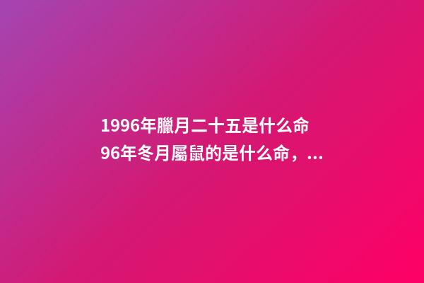 1996年臘月二十五是什么命 96年冬月屬鼠的是什么命，93年的雞是什么命-第1張-觀點-玄機派
